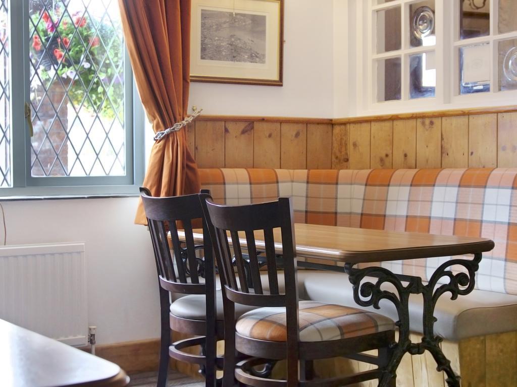 Griffin Inn New Quay Extérieur photo